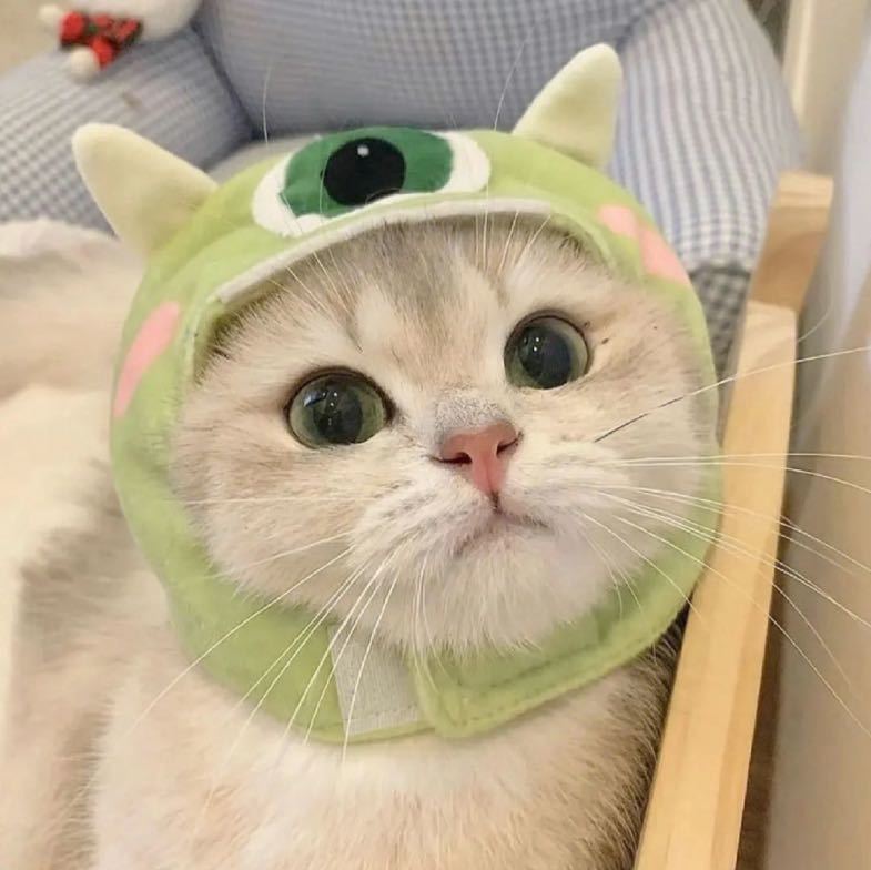 黑箱